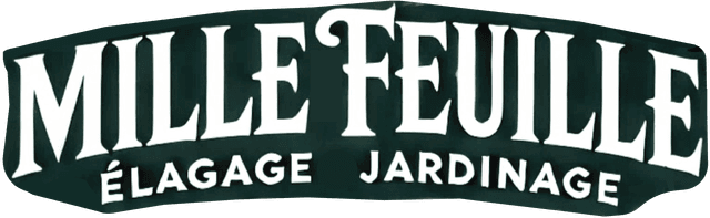 Logo Mille Feuilles Logo